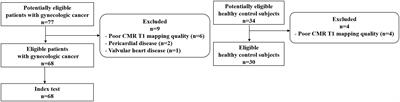 Chemotherapy effect on myocardial fibrosis markers in patients with gynecologic cancer and low cardiovascular risk